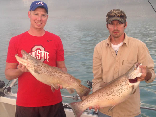 Lake Michigan Brown Trout