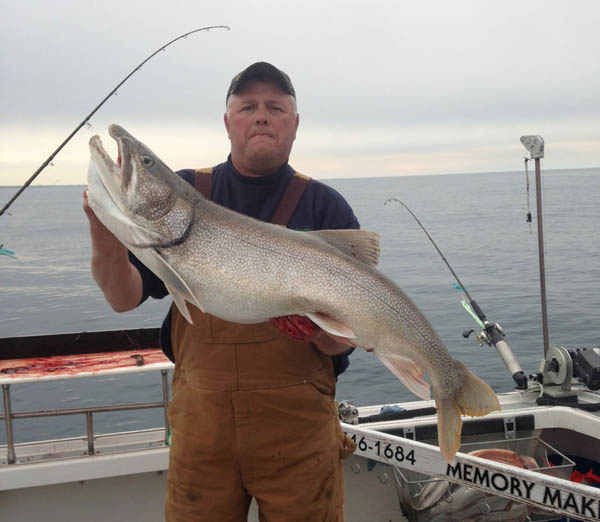 Lake Michigan Lake Trout