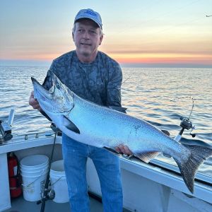 Sunrise king salmon
