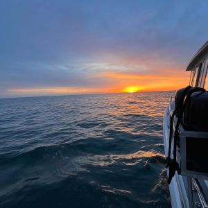 Sunrise salmon