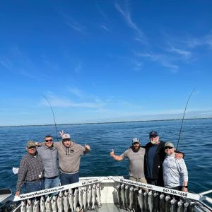 Quick limit of may coho salmon