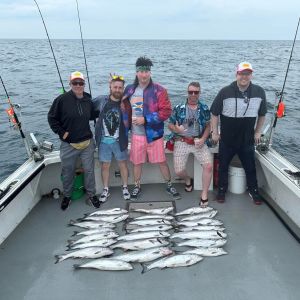 Limit of Salmon