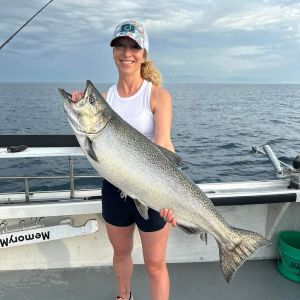 Beautiful King Salmon