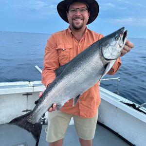 Amazing King salmon