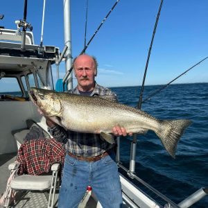 26lb king salmon