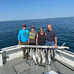 Great rack of fish