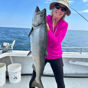 Sunny days and Shiny salmon