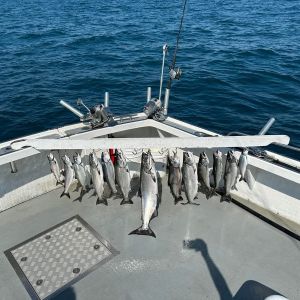 Great day of fishing