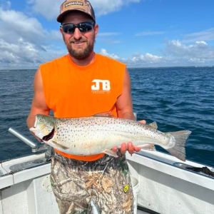 Cool looking brown trout