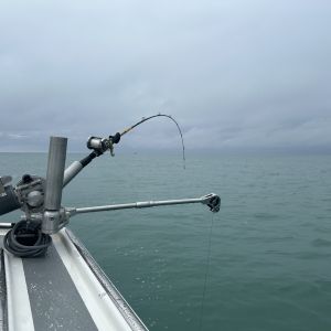 Ready for a fish