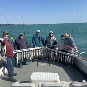 Lake Michigan Coho Salmon