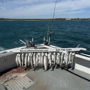 Salmon fishing