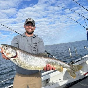 Lake trout