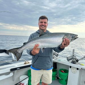 Wisconsin king salmon 
