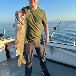 Great Lakes lake trout 