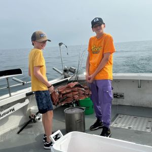 Fresh salmon for dinner 