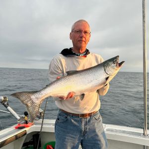 King salmon 