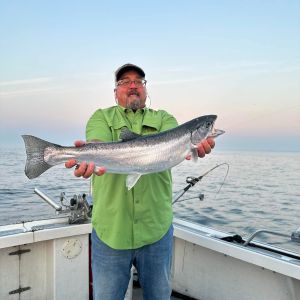 Lake Michigan steelhead