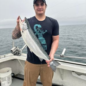 Lake Michigan steelhead