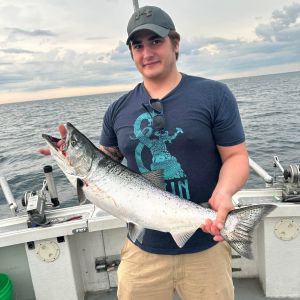 Lake Michigan king salmon 