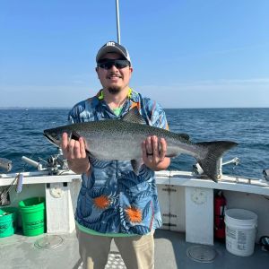 Great Lake salmon 