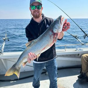 Wisconsin lake trout 