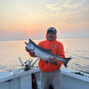 Sunrise chinook salmon 