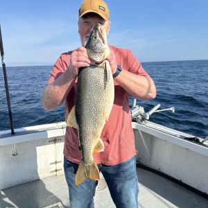 Lake trout 