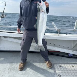 Rainbow trout fishing 