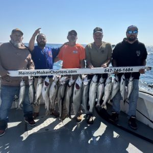 Fishing for trout and salmon 