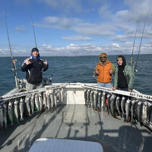Spring coho salmon